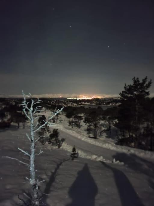 Koselig Og Moderne Leilighet, Meget Sentralt I Narvik Med Gratis Parkering! エクステリア 写真