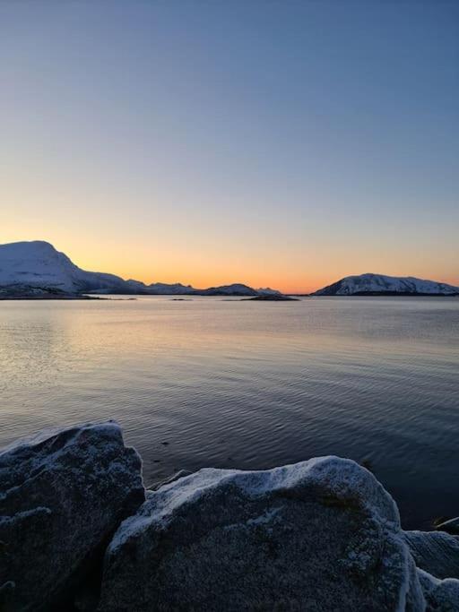 Koselig Og Moderne Leilighet, Meget Sentralt I Narvik Med Gratis Parkering! エクステリア 写真