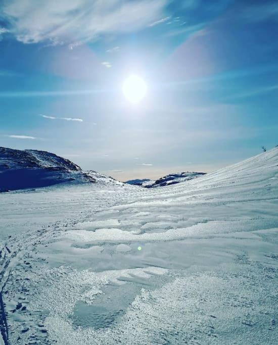 Koselig Og Moderne Leilighet, Meget Sentralt I Narvik Med Gratis Parkering! エクステリア 写真