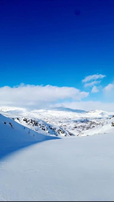 Koselig Og Moderne Leilighet, Meget Sentralt I Narvik Med Gratis Parkering! エクステリア 写真
