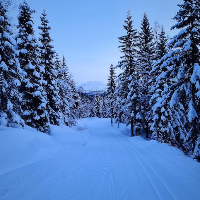Koselig Og Moderne Leilighet, Meget Sentralt I Narvik Med Gratis Parkering! エクステリア 写真
